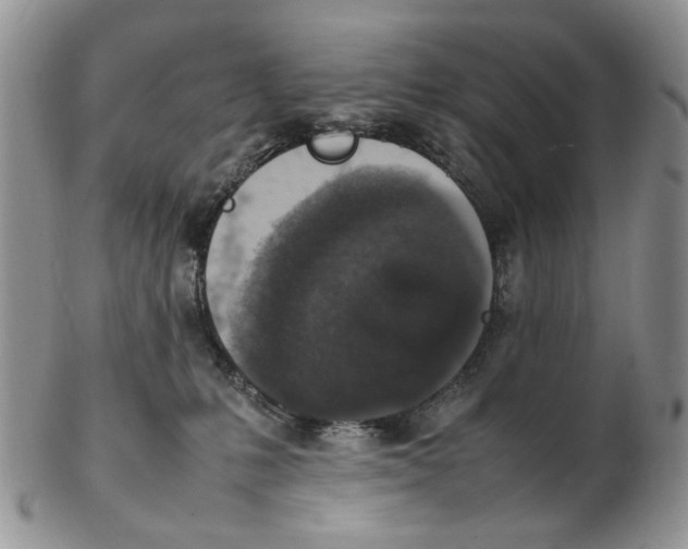 X0000102250231200808221400