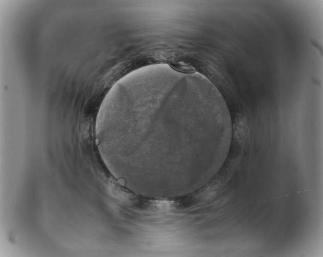 X0000102250233200808221400