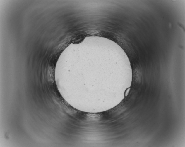 X0000102250234200808221400