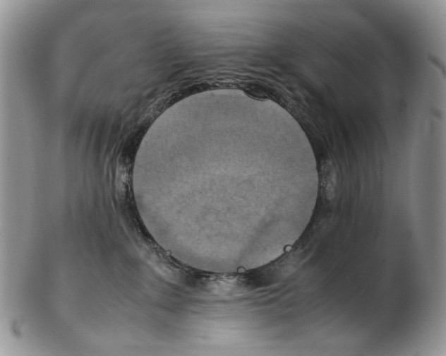 X0000102250235200808221400