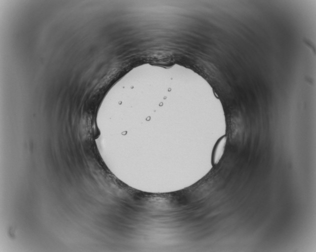 X0000102250236200808221400