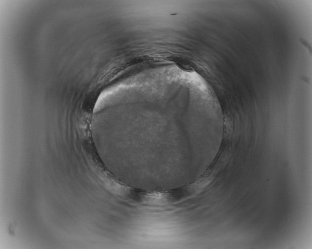 X0000102250237200808221400