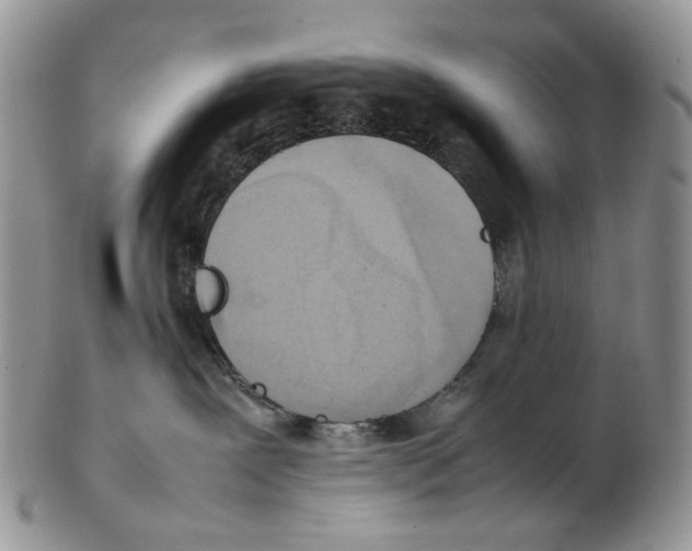 X0000102250239200808221400