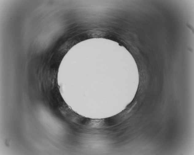 X0000102250240200808221400