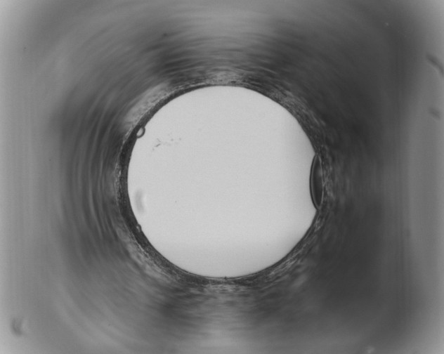 X0000102250242200808221359