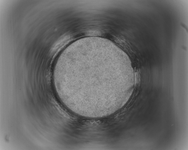 X0000102250243200808221359
