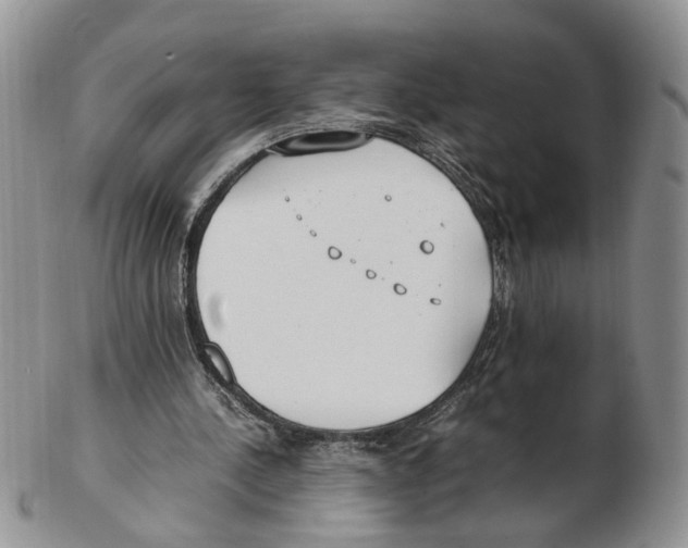 X0000102250244200808221359