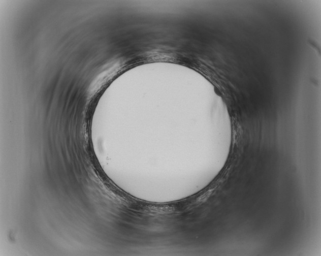 X0000102250245200808221359
