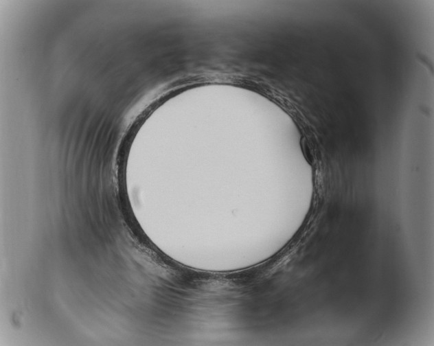 X0000102250246200808221359