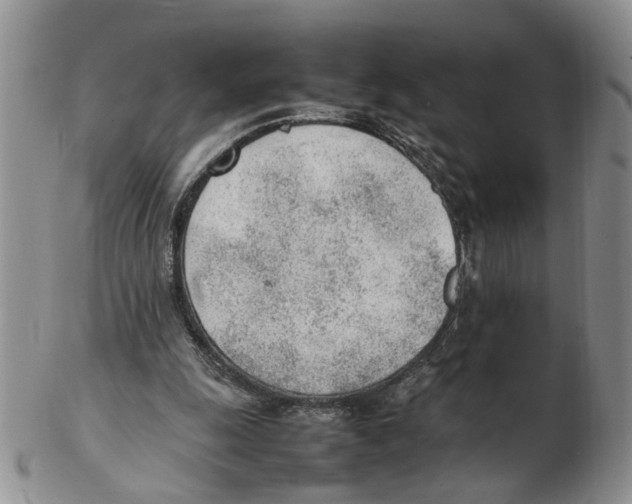 X0000102250247200808221359