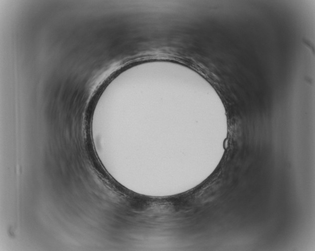 X0000102250248200808221359