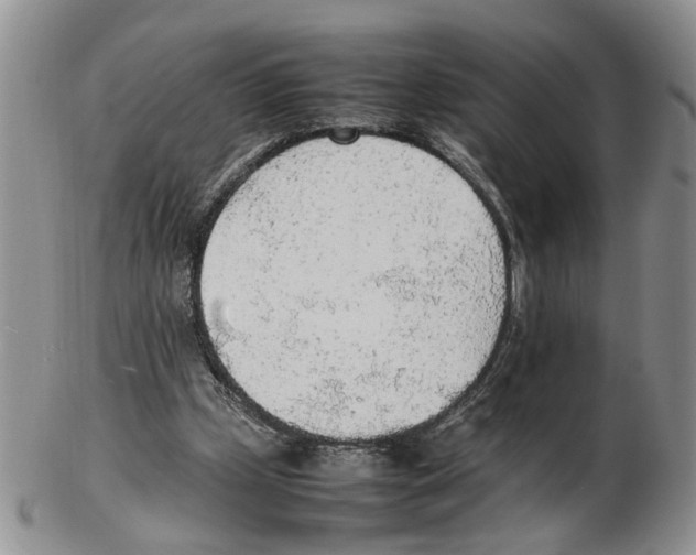 X0000102250249200808221359