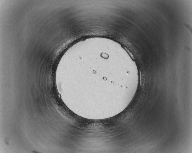 X0000102250252200808221359