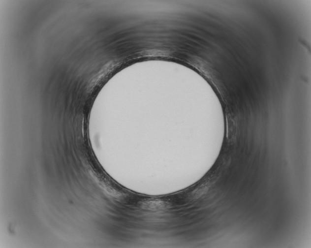 X0000102250253200808221359