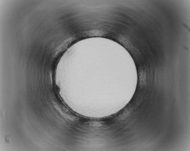 X0000102250254200808221359