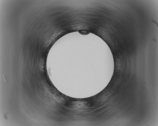 X0000102250255200808221359