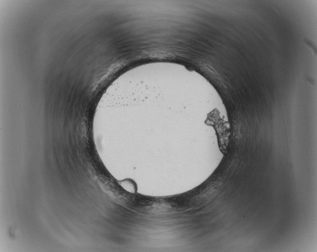 X0000102250256200808221359