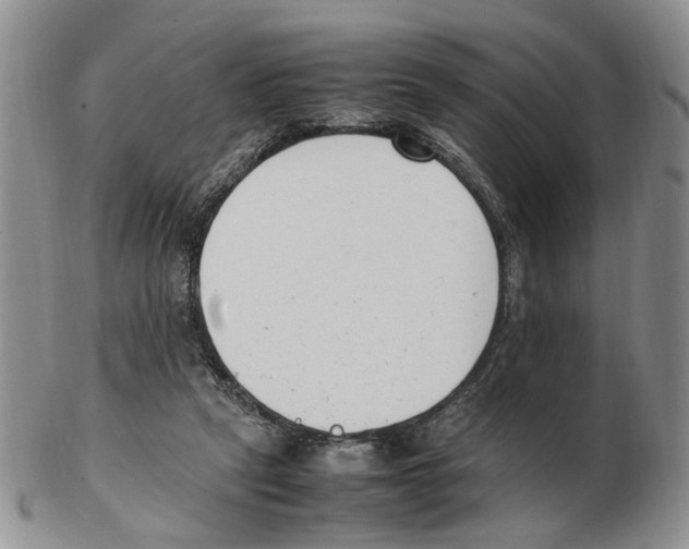 X0000102250257200808221359