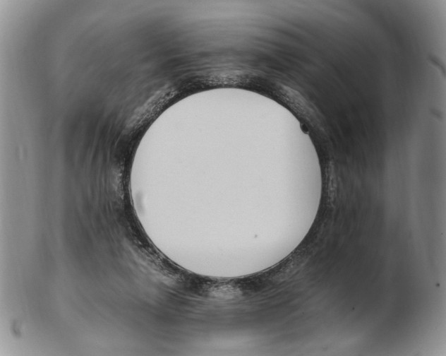 X0000102250258200808221359