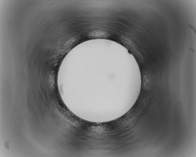 X0000102250259200808221359