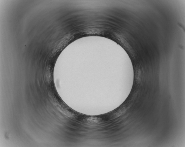 X0000102250261200808221359