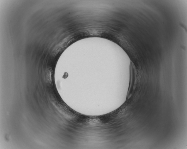 X0000102250262200808221359