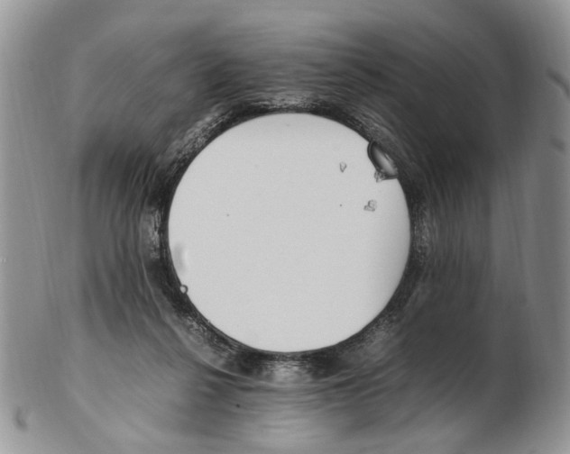 X0000102250264200808221359
