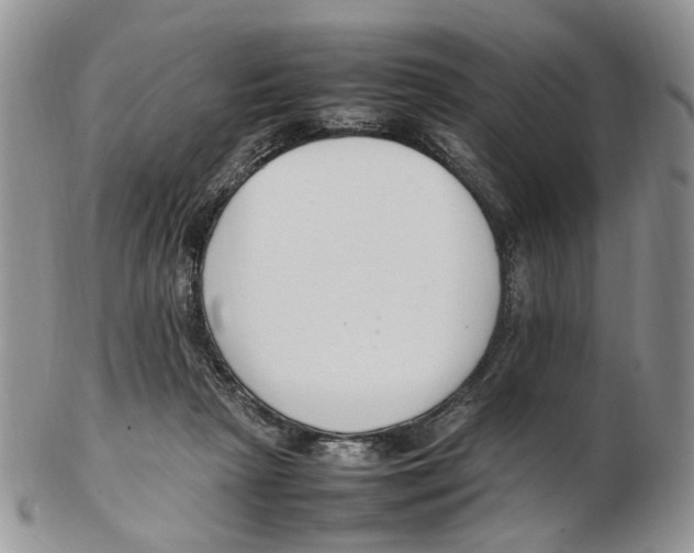 X0000102250265200808221359