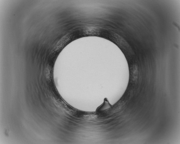 X0000102250266200808221359