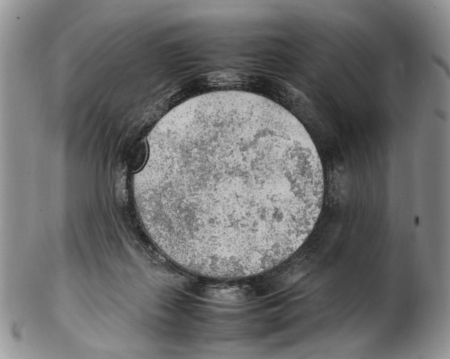 X0000102250267200808221359