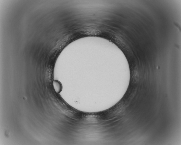 X0000102250268200808221359