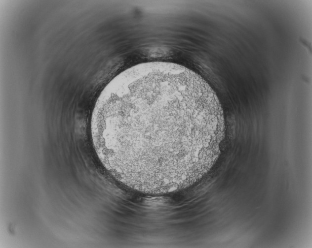X0000102250269200808221359
