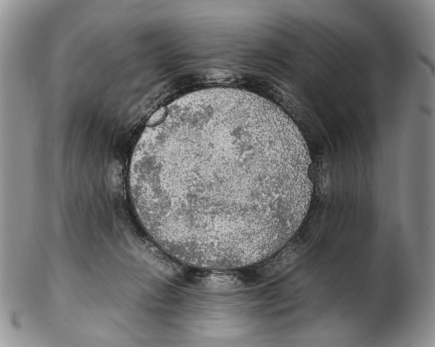 X0000102250270200808221359
