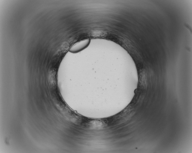 X0000102250272200808221359