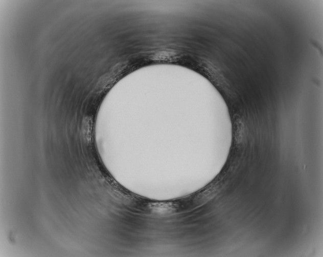 X0000102250273200808221359