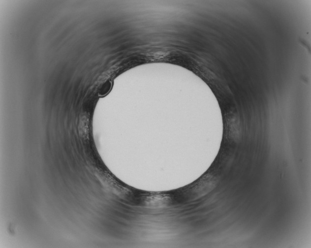 X0000102250274200808221359