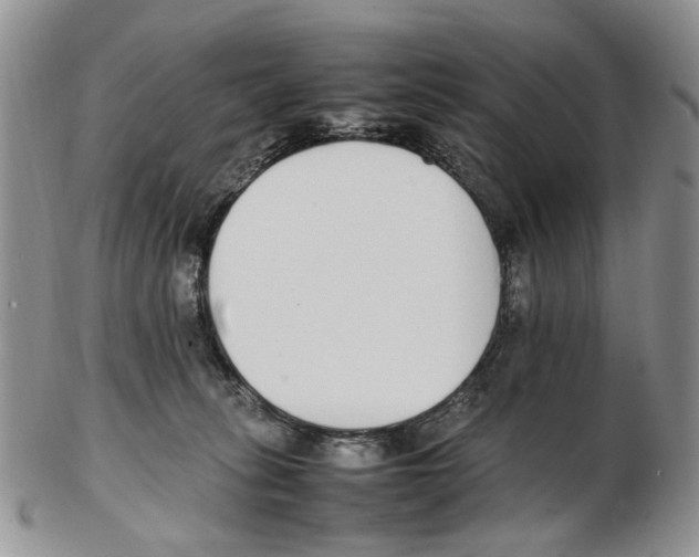 X0000102250275200808221359