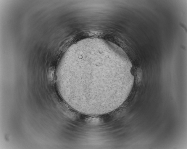 X0000102250276200808221359