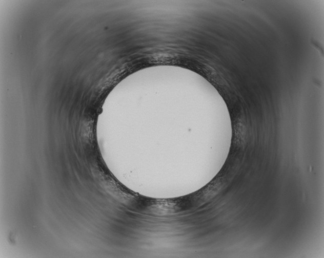 X0000102250278200808221359