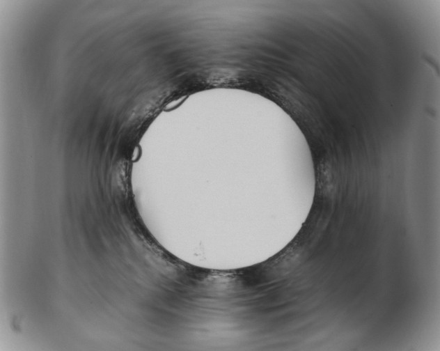X0000102250280200808221359