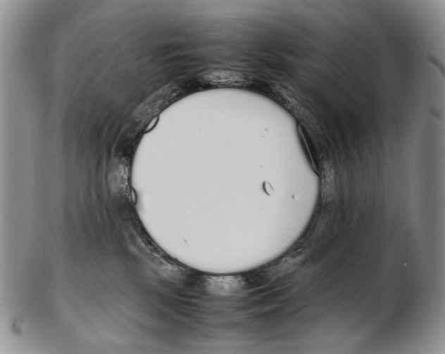 X0000102250281200808221359