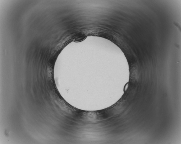 X0000102250282200808221400