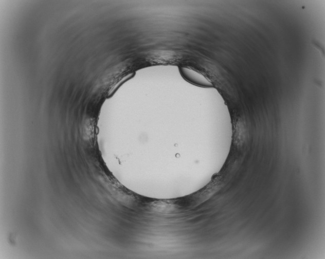 X0000102250284200808221400