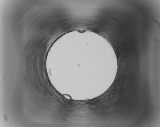 X0000102250289200808221359