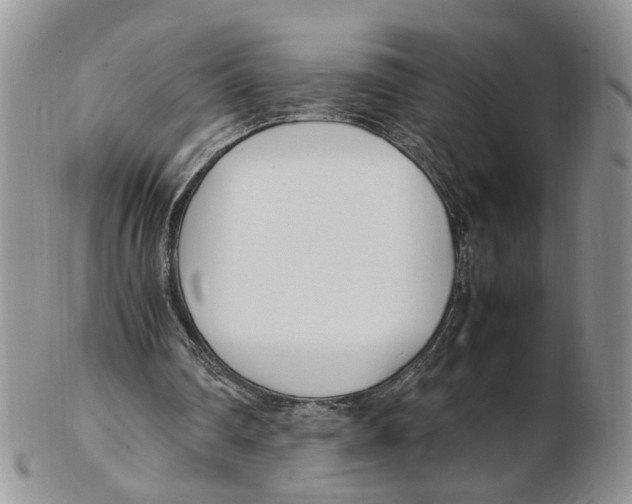 X0000102250290200808221359