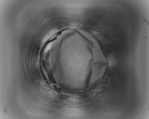 X0000102250292200808221359