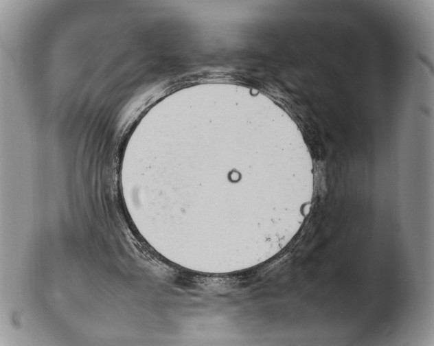 X0000102250293200808221359