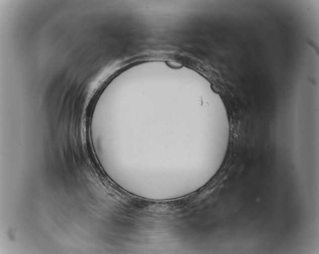 X0000102250294200808221359