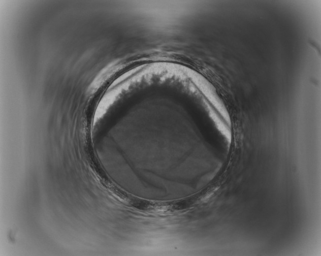 X0000102250295200808221359