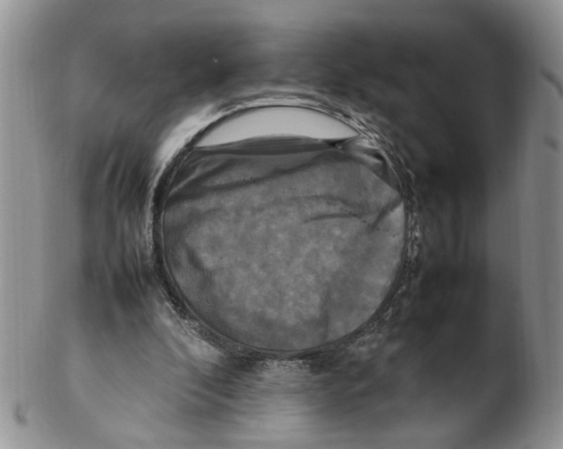 X0000102250296200808221359